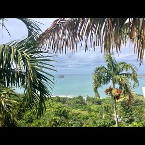 Meet your Posher, Kerrigan